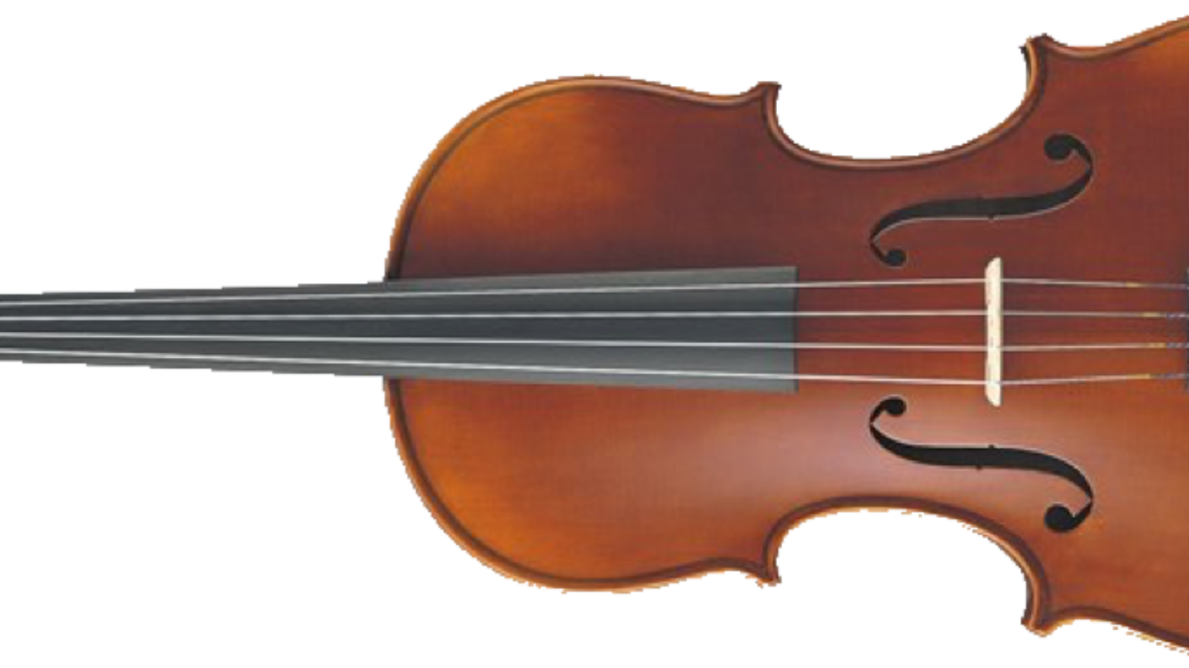 viola_1