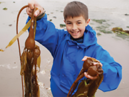 youth on Port Townsend beach with seaweed