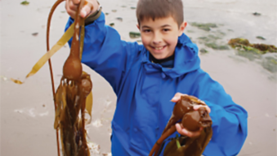 youth on Port Townsend beach with seaweed